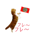 きなことあんこ3（個別スタンプ：10）