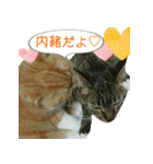 きなことあんこ3（個別スタンプ：18）