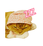 きなことあんこ3（個別スタンプ：30）