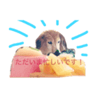 ミルクとちょっぴりアップル（個別スタンプ：14）
