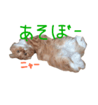 そうたとメルのスタンプ（個別スタンプ：4）