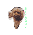 アルフのスタンプ（個別スタンプ：5）
