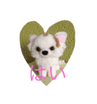 愛犬チコ様（個別スタンプ：7）