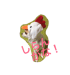 愛犬チコ様（個別スタンプ：13）