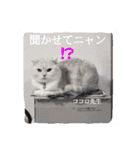 What′s  ココロ（個別スタンプ：14）