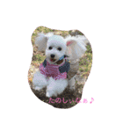 仲良し3匹♪（個別スタンプ：5）
