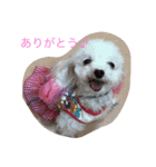 仲良し3匹♪（個別スタンプ：8）