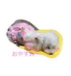 仲良し3匹♪（個別スタンプ：14）