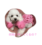 仲良し3匹♪（個別スタンプ：16）