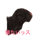 マナのスタンプ（個別スタンプ：3）
