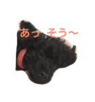 マナのスタンプ（個別スタンプ：6）
