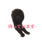 マナのスタンプ（個別スタンプ：7）