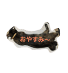 サビネコびび文字（個別スタンプ：2）