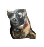 サビネコびび文字（個別スタンプ：8）