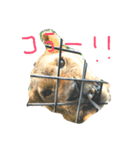 あにまるずらぶ（個別スタンプ：7）