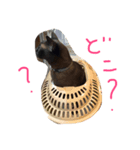 イカしたネコ（個別スタンプ：7）
