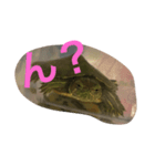 小梅ちゃん(*´˘` )（個別スタンプ：1）