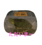 小梅ちゃん(*´˘` )（個別スタンプ：5）