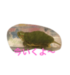 小梅ちゃん(*´˘` )（個別スタンプ：6）