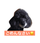 坂本さん家のラルフくん（個別スタンプ：6）