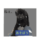 もずくさんの日常（個別スタンプ：4）