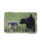 もずくさんの日常（個別スタンプ：5）