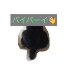 もずくさんの日常（個別スタンプ：7）