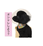もずくさんの日常（個別スタンプ：8）