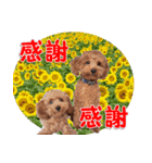 もあずく2017-5（個別スタンプ：9）