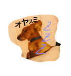 愛犬ロコ（個別スタンプ：1）