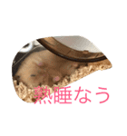 なぎさんの日常2（個別スタンプ：3）