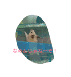 なぎさんの日常2（個別スタンプ：12）