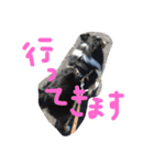ゆずいぬのスタンプ（個別スタンプ：8）
