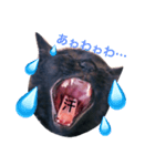 黒猫のあくび顔（個別スタンプ：6）
