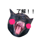 黒猫のあくび顔（個別スタンプ：7）