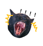 黒猫のあくび顔（個別スタンプ：8）