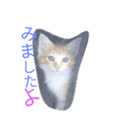 うちの子が一番♡（個別スタンプ：3）