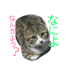 うちの子が一番♡（個別スタンプ：5）