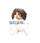 大福先生（個別スタンプ：3）
