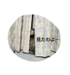 マメちゃんスタンプ（個別スタンプ：2）