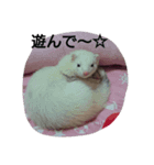 ゆず＆雪丸(1)（個別スタンプ：3）