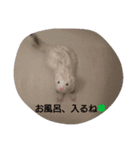 ゆず＆雪丸(1)（個別スタンプ：4）