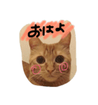 びむたんスタンプ（個別スタンプ：7）