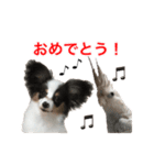 サラとココ part2（個別スタンプ：1）