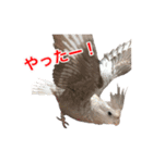 サラとココ part2（個別スタンプ：5）