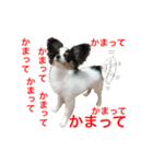 サラとココ part2（個別スタンプ：7）