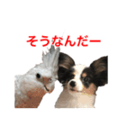 サラとココ part2（個別スタンプ：9）