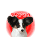 サラとココ part2（個別スタンプ：11）