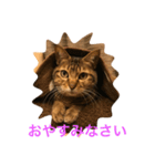 ねこのはっちゃん（個別スタンプ：8）