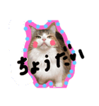 メルミュラ（個別スタンプ：3）